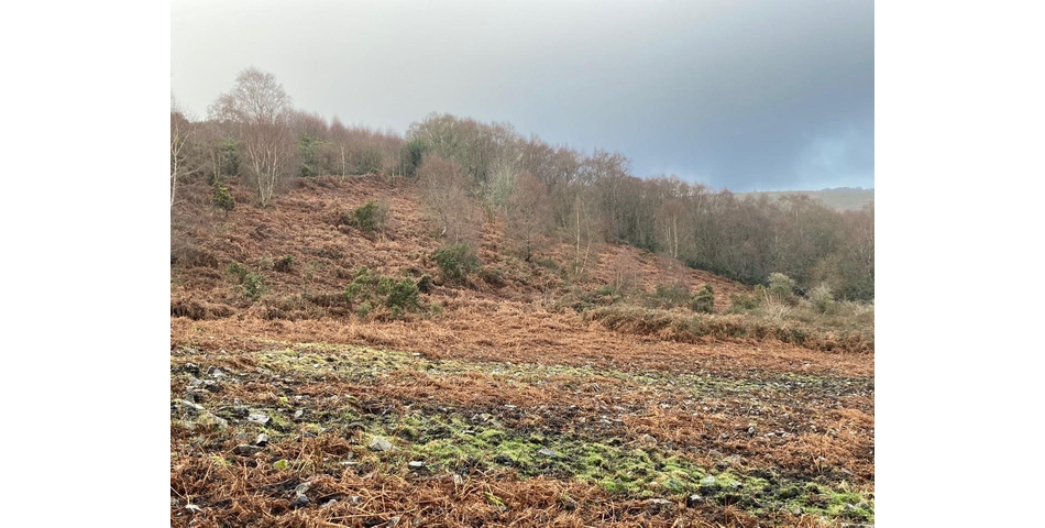 Land on Dartmoor Lot 4