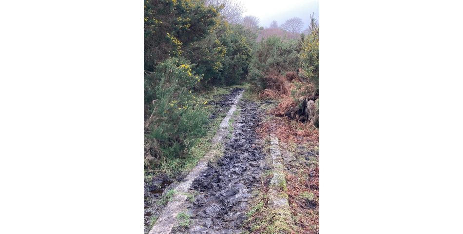 Land on Dartmoor Lot 4