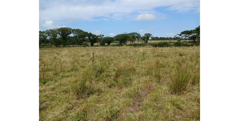 Land near Burnards House - Lot 1 