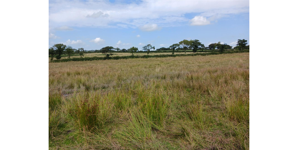 Land near Burnards House - Lot 1 