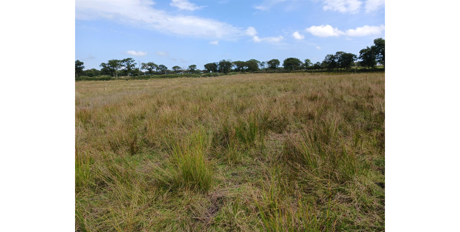 Land near Burnards House - Lot 1 