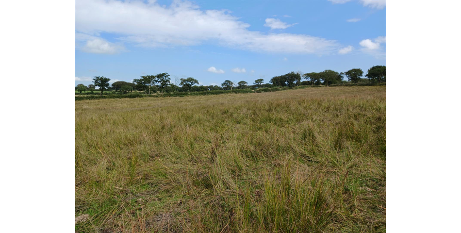 Land near Burnards House - Lot 1 
