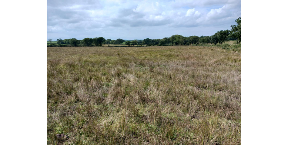 Land near Burnards House - Lot 1 