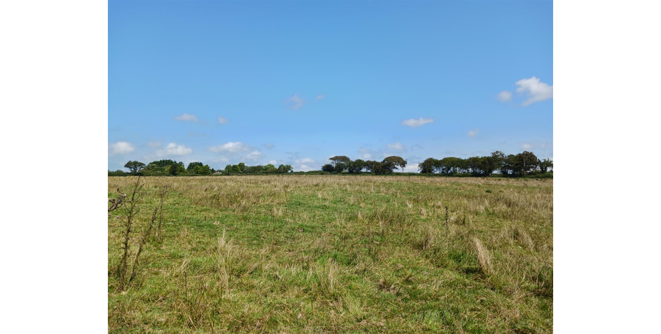 Land near Burnards House - Lot 1 