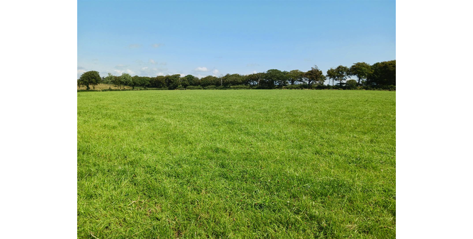 Land near Burnards House - Lot 1 