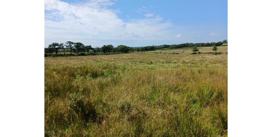 Land near Burnards House - Lot 1 