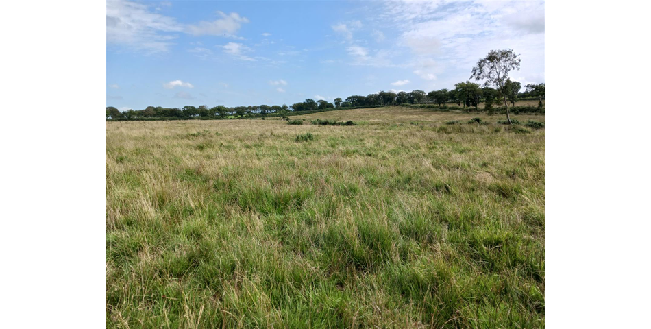 Land near Burnards House - Lot 1 