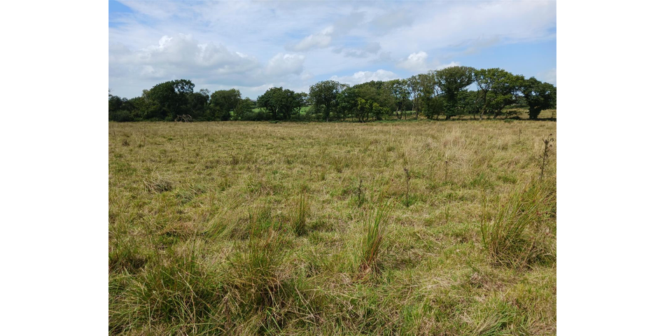 Land near Burnards House - Lot 1 