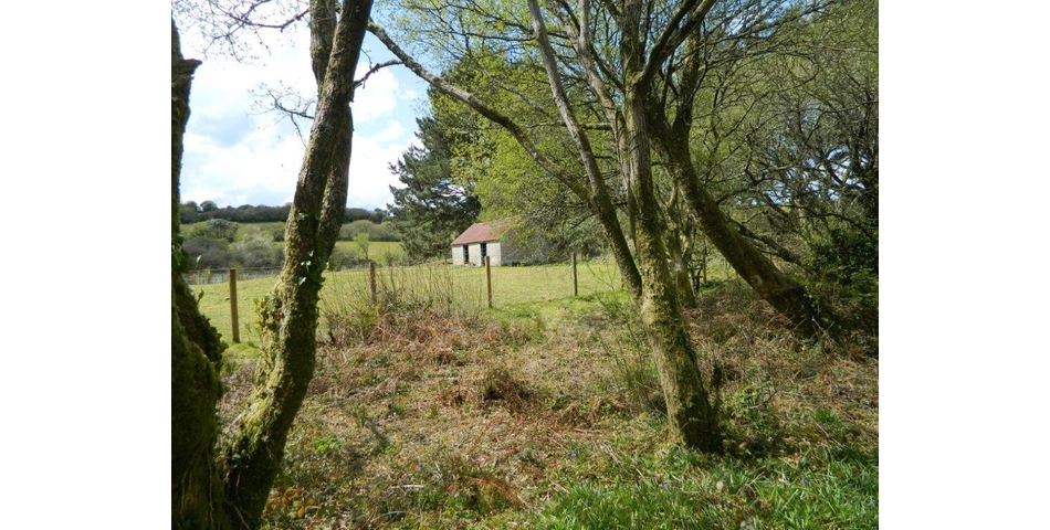 Land Adj to Innis Lakes (Lot 2)