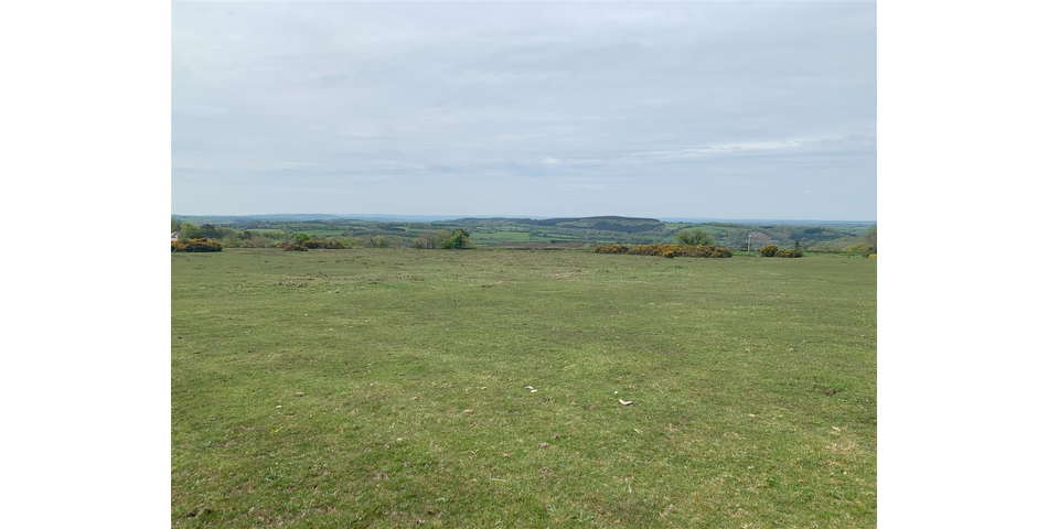 Land at Vale Down - Bridestowe