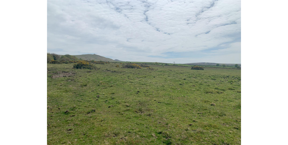 Land at Vale Down - Bridestowe