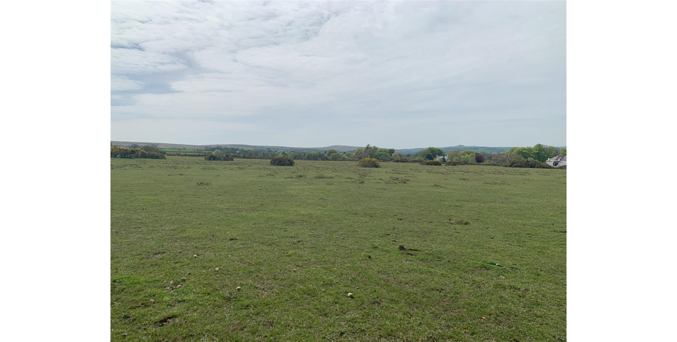 Land at Vale Down - Bridestowe