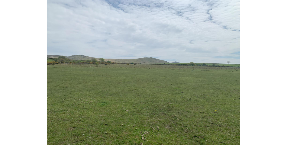 Land at Vale Down - Bridestowe