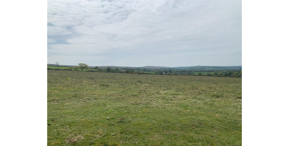 Land at Vale Down - Bridestowe
