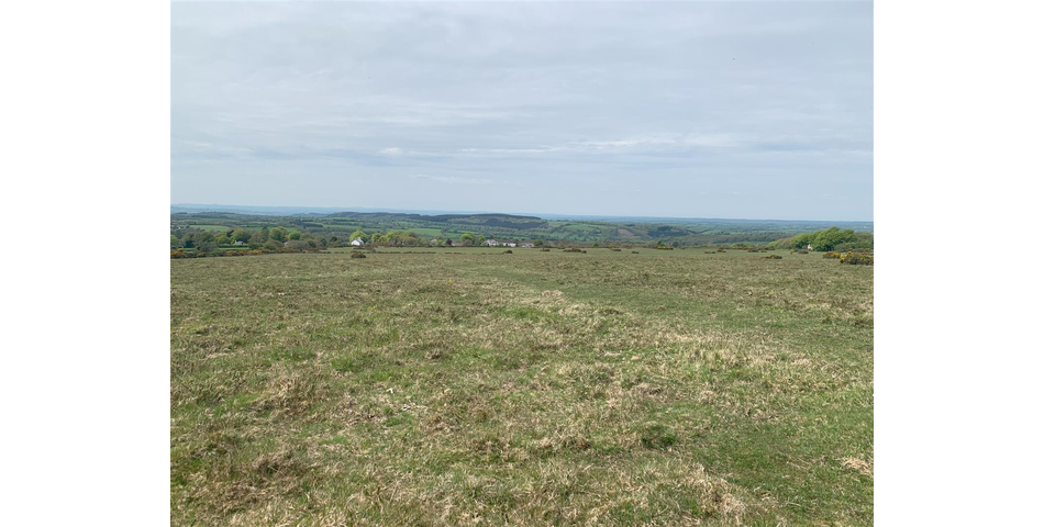 Land at Vale Down - Bridestowe