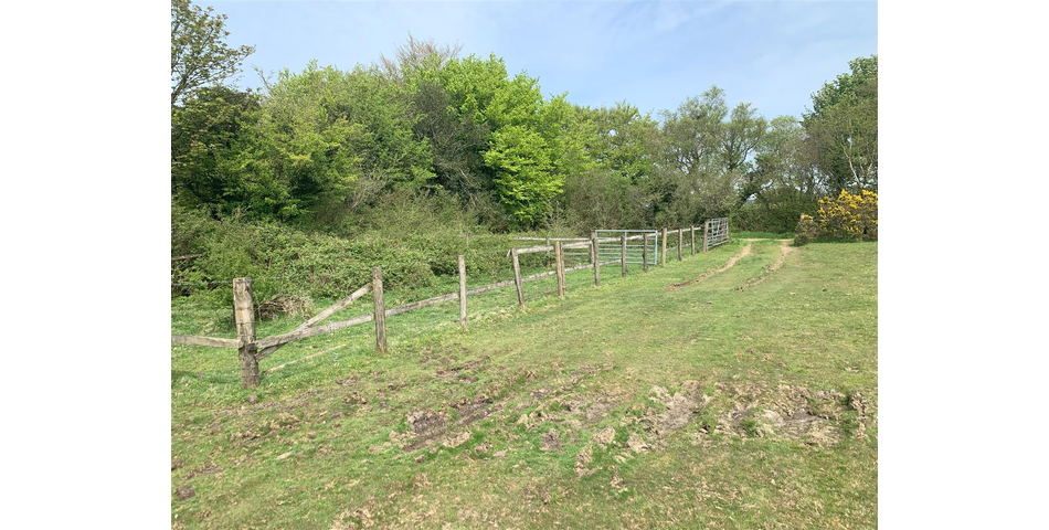 Land at Vale Down - Bridestowe