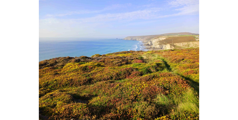 Clifftop Land at Jolly's Lane - Porthtowan