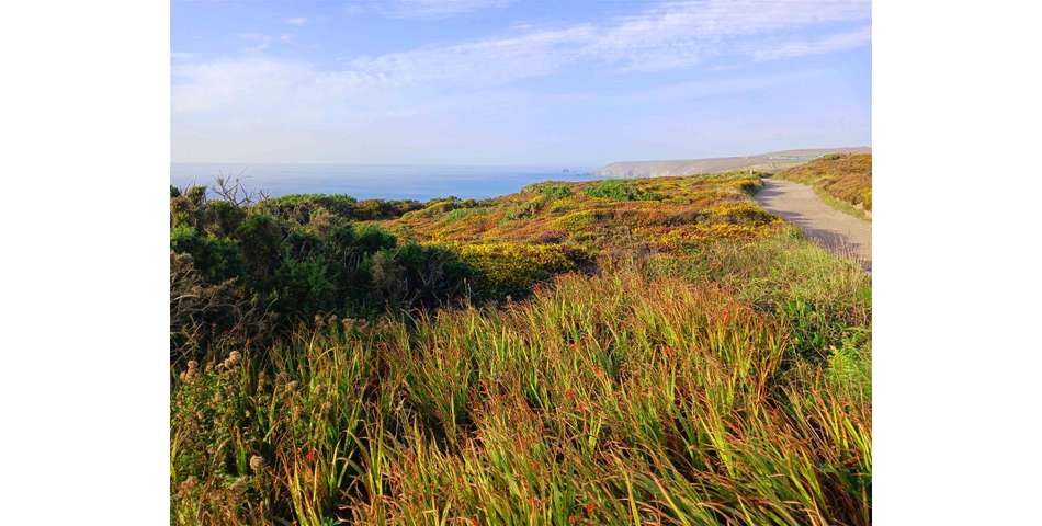 Clifftop Land at Jolly's Lane - Porthtowan