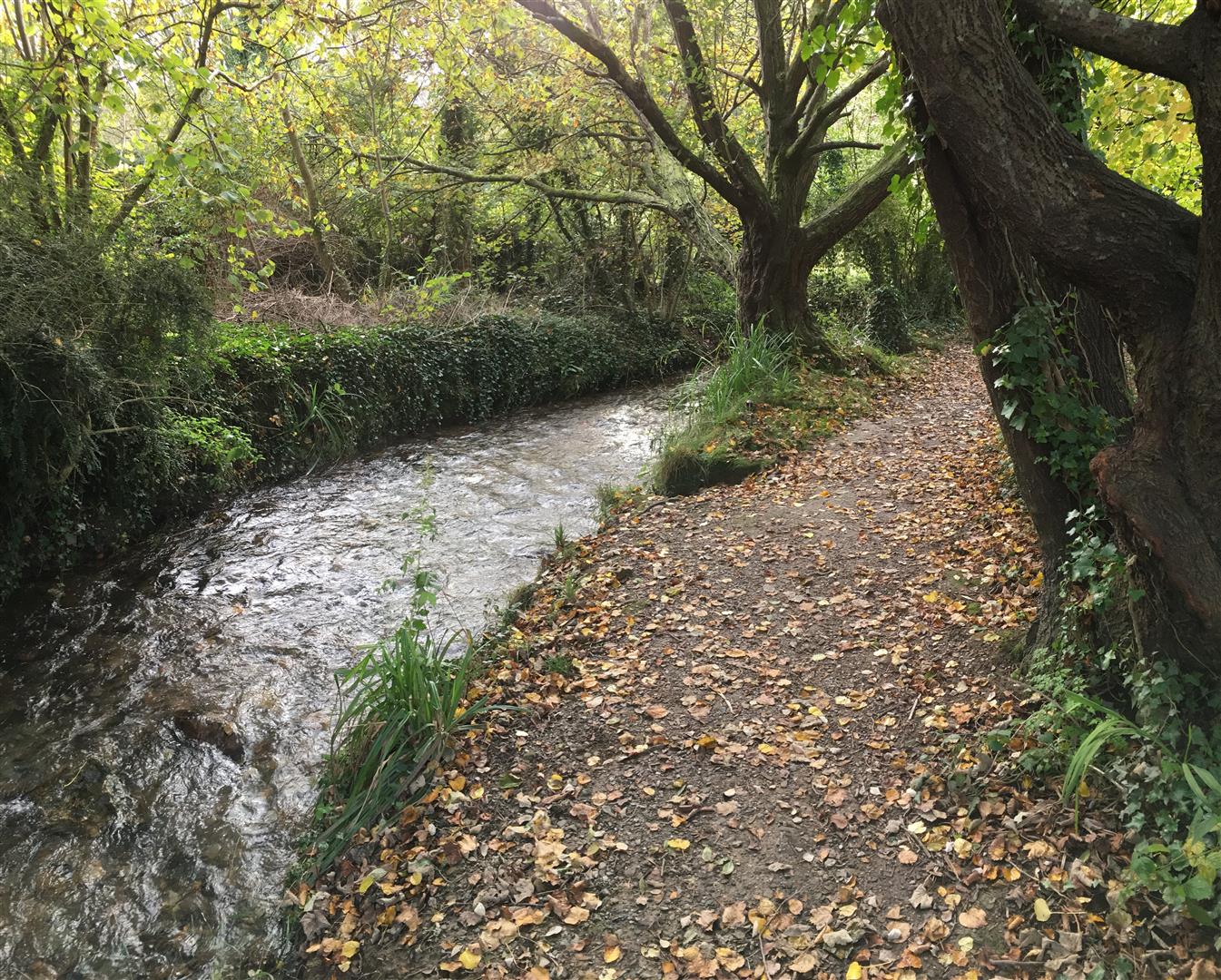 Land on Water Lane - Combe Martin