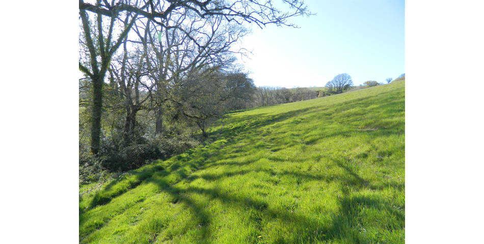Land at Farm Barton