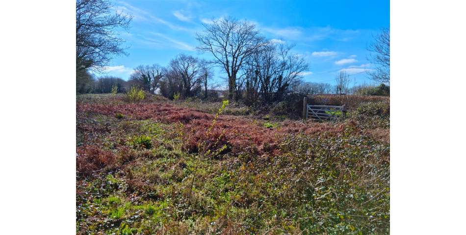 Land at Tregadillett - Launceston