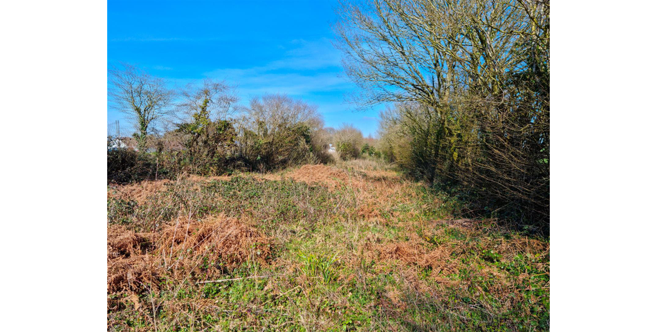 Land at Tregadillett - Launceston