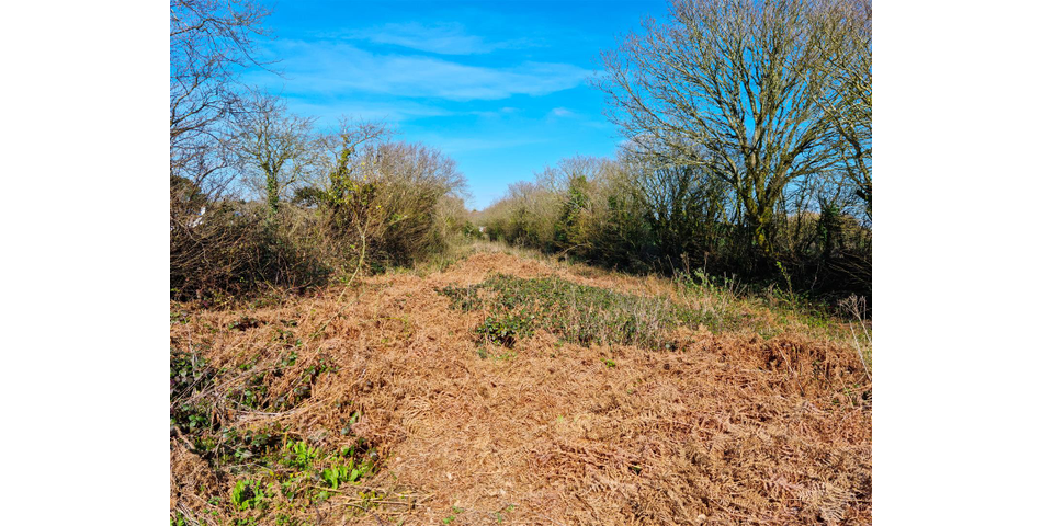 Land at Tregadillett - Launceston