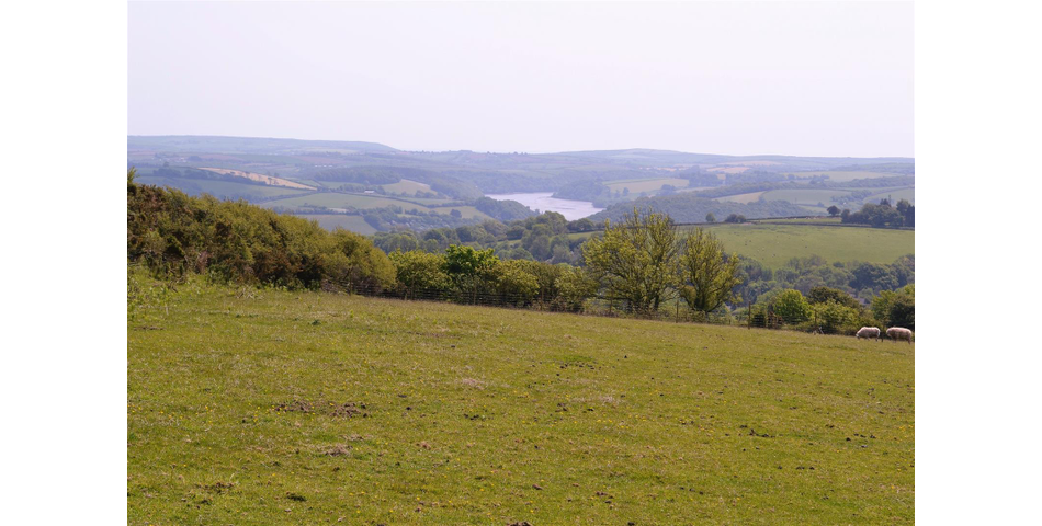 Land Near Lostwithiel