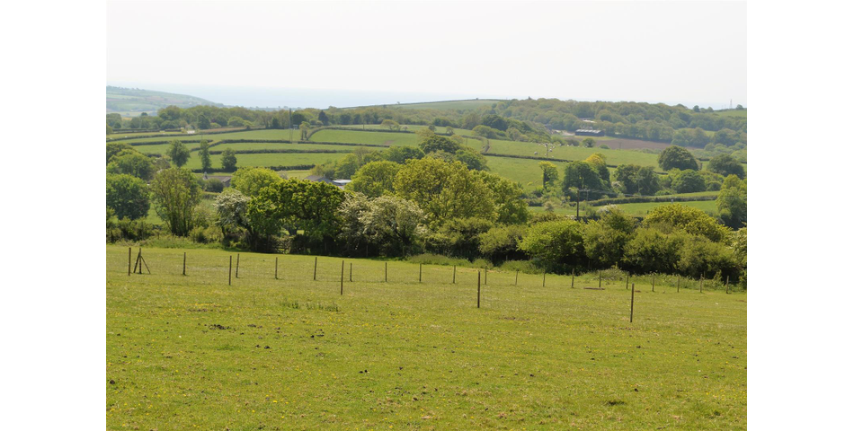 Land Near Lostwithiel
