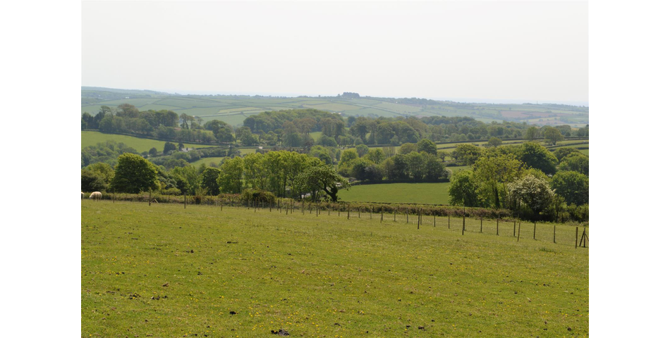 Land Near Lostwithiel