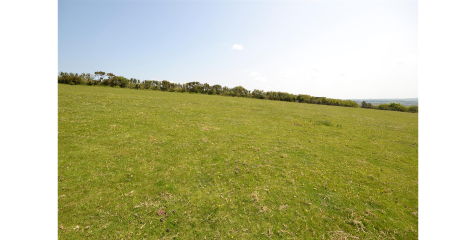 Land Near Lostwithiel