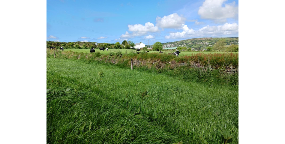 Land near Lanner - Lot 1 