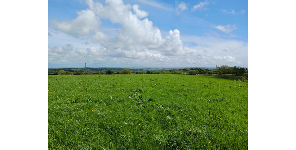 Land near Lanner - Lot 1 