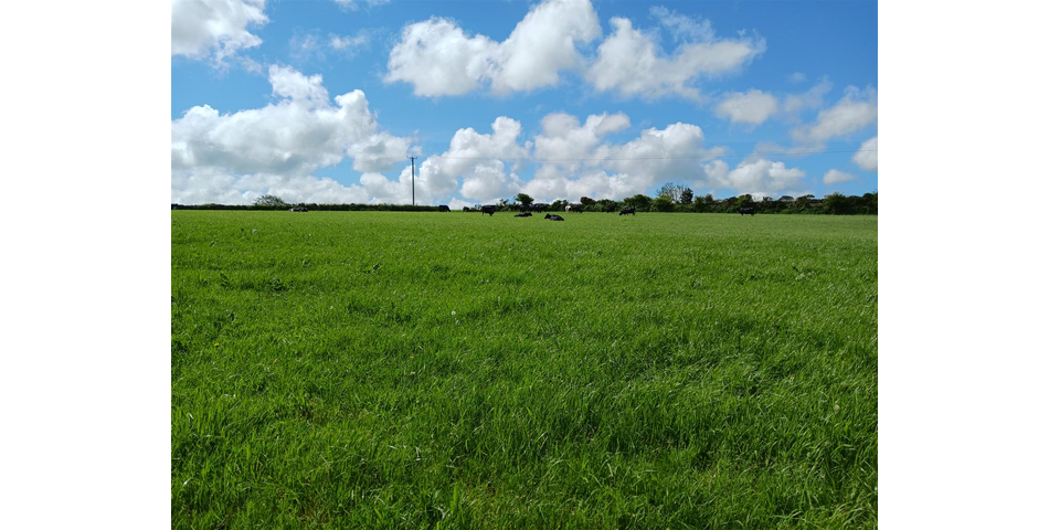 Land near Lanner - Lot 1 