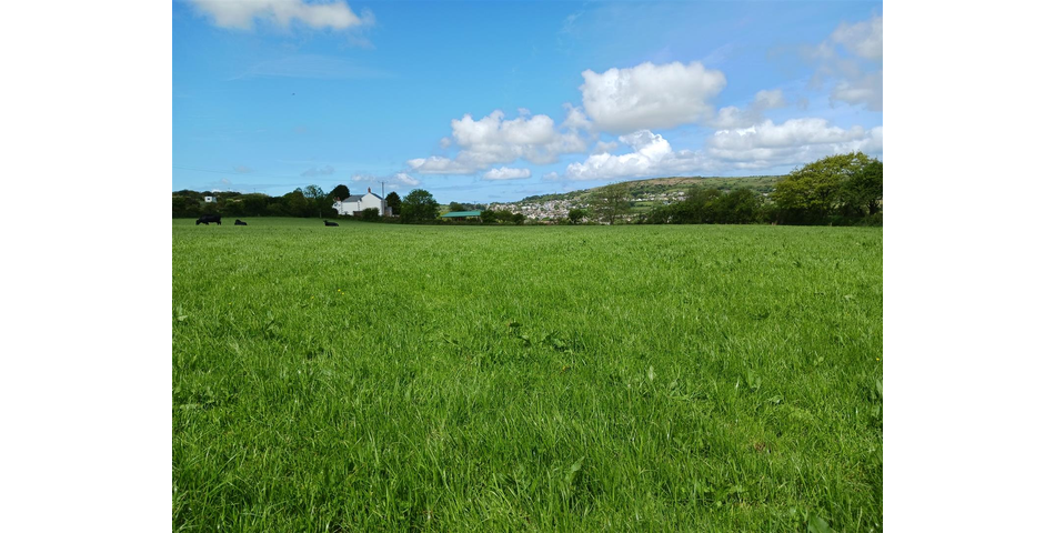 Land near Lanner - Lot 1 