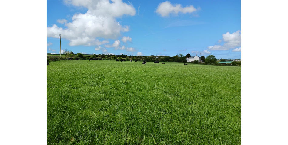 Land near Lanner - Lot 1 