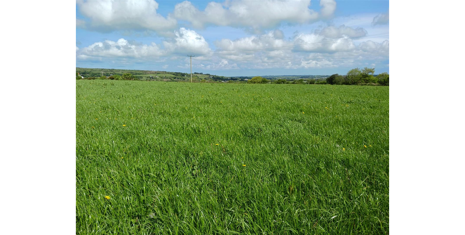 Land near Lanner - Lot 1 