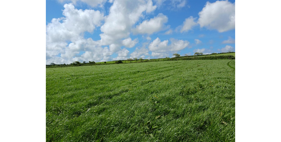 Land near Lanner - Lot 1 