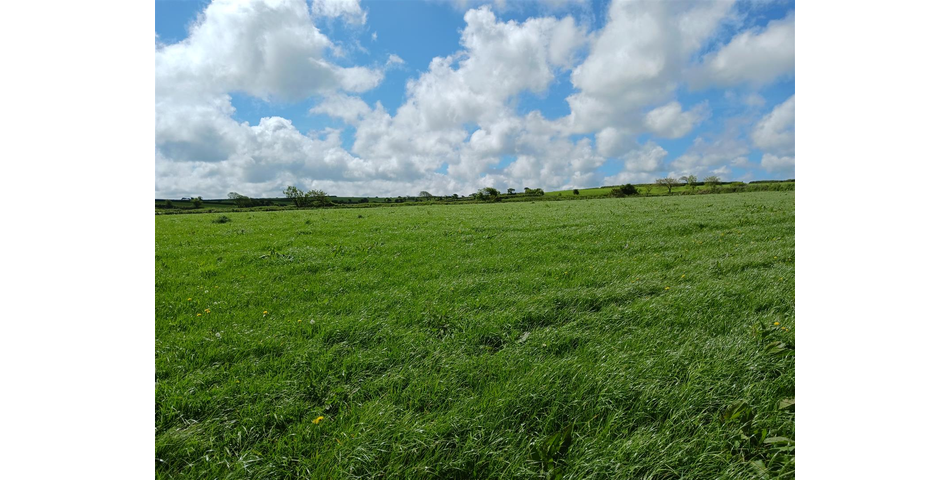 Land near Lanner - Lot 1 