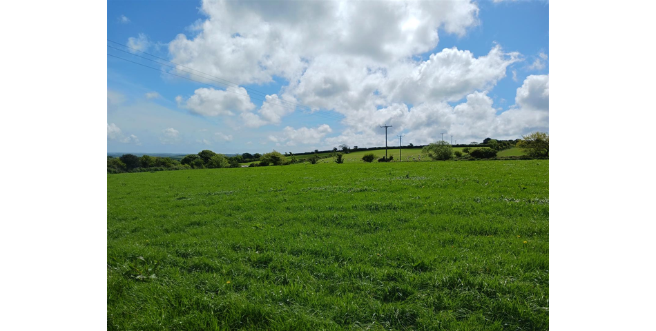 Land near Lanner - Lot 1 