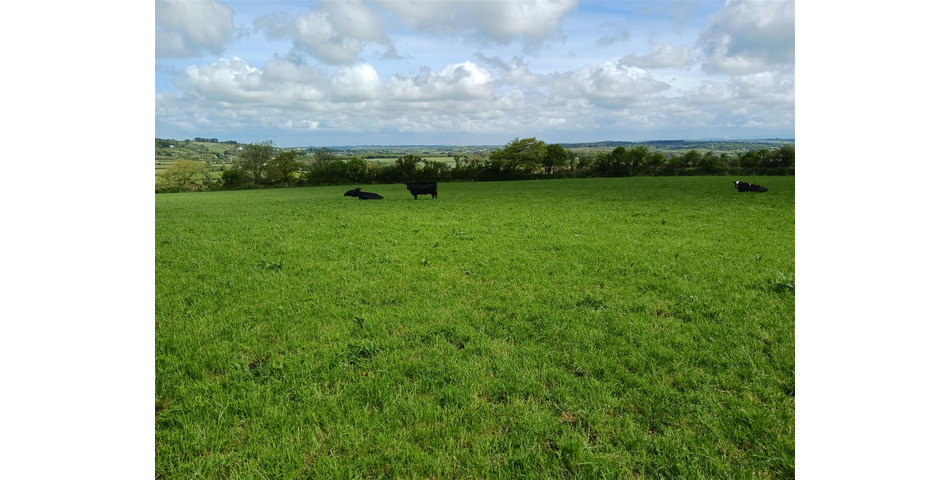 Land near Lanner - Lot 1 