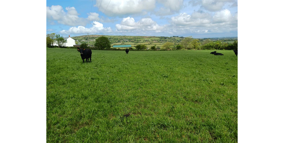 Land near Lanner - Lot 1 