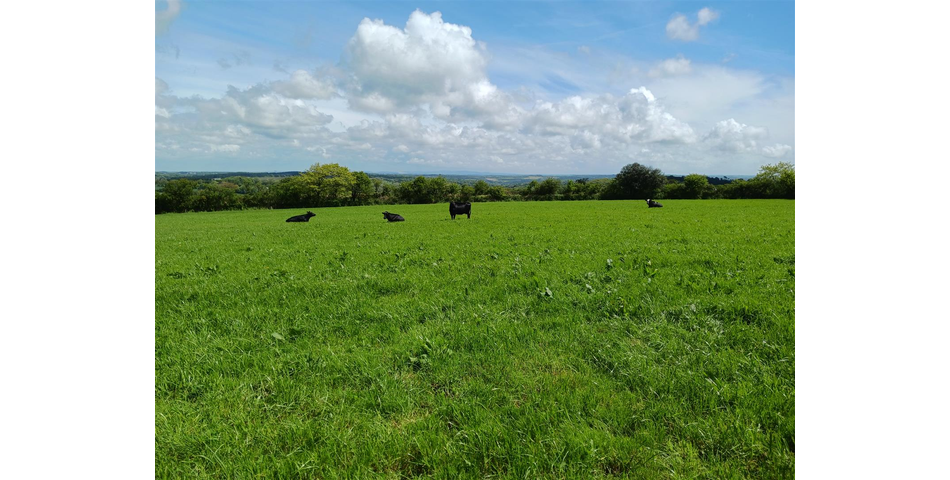 Land near Lanner - Lot 1 