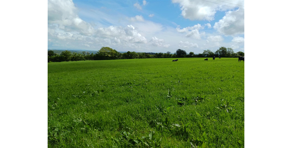 Land near Lanner - Lot 1 