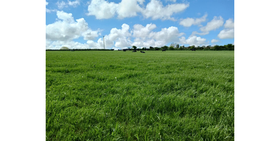 Land near Lanner - Lot 1 