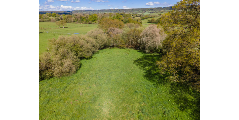 Paddock at Fluxton