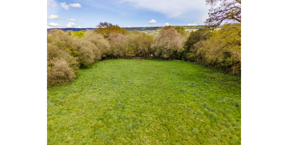Paddock at Fluxton
