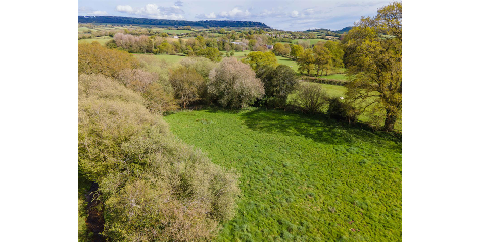 Paddock at Fluxton