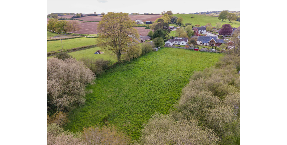 Paddock at Fluxton