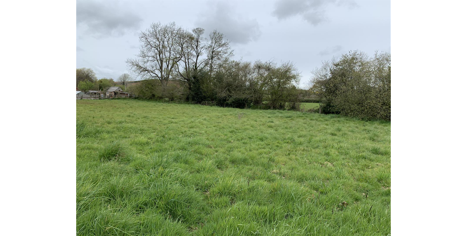 Paddock at Fluxton